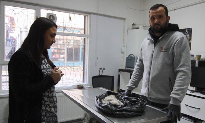 Kedileri, ’Aşk Ve Bağlama’ Büyüsü İçin Kesmişler