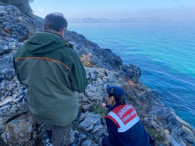 Jandarmadan “Endemik Tür” Devriyesi