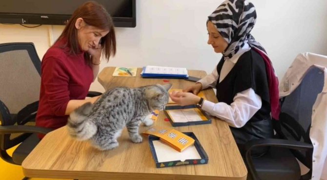 Büyükşehir’in Engelsiz Yaşam Merkezi’nin Yeni Üyesi ‘Şeker’