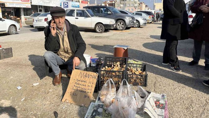 Yaban Mantarları Köylünün Gelir Kapısı Oldu