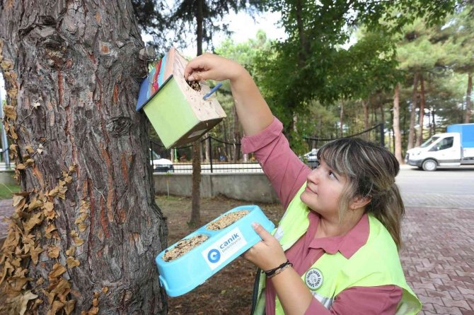 Başkan Sandıkçı: “Sokaktaki Can Dostlarımız Bize Emanet”