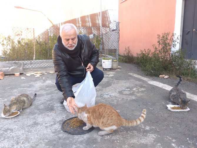 Diyarbakır’da Hayırseverler Destek Veriyor, Sokak Hayvanları Mamasız Kalmıyor