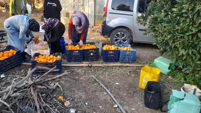 Gazipaşa’dan İ̇dlib’e İnsani Yardım Malzemesi Gönderildi