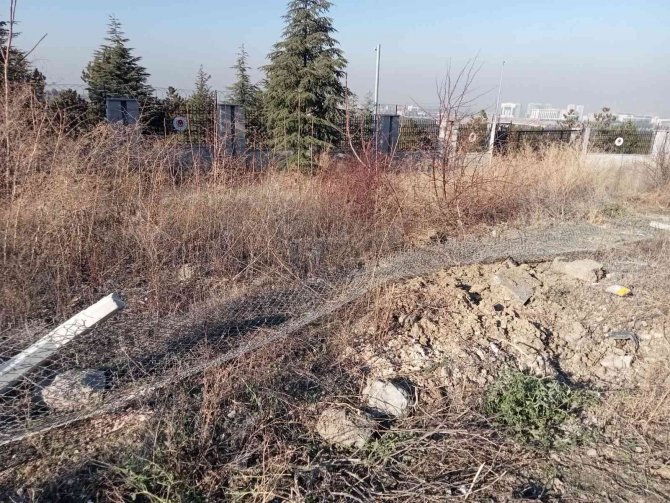Üniversiteli Genç Kız Trafik Kazasında Hayatını Kaybetti