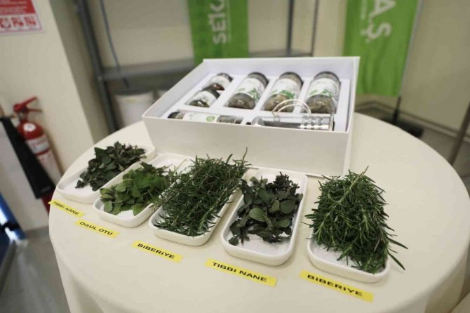 Sekapark A.ş. Gözünü Yurtdışına Çevirdi