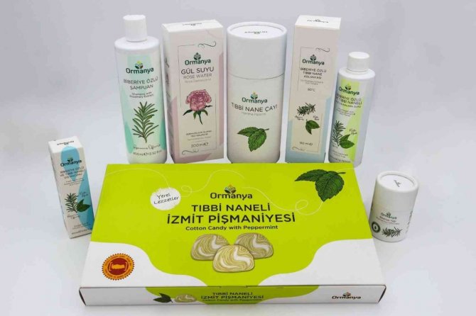 Sekapark A.ş. Gözünü Yurtdışına Çevirdi