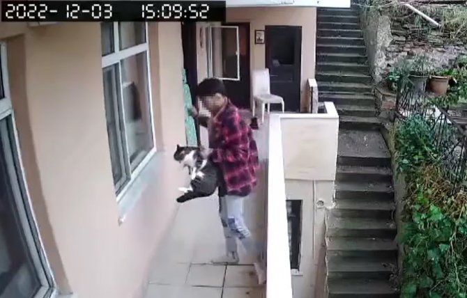 Evden Kaçan Kediyi Acımasızca Yumrukladı, O Anlar Kamerada