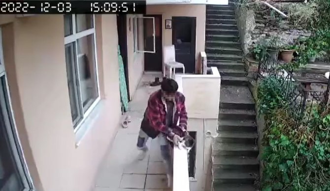 Evden Kaçan Kediyi Acımasızca Yumrukladı, O Anlar Kamerada