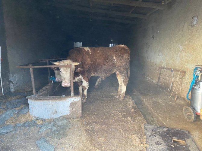Ahır Olarak Kullanılan Binanın Üst Katında Yangın Çıktı, Faciadan Dönüldü