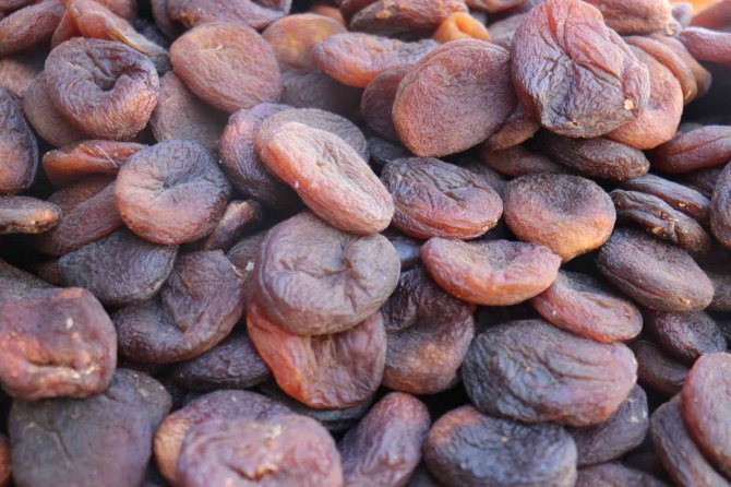 Malatya’da 1 Yılda 402 Milyon Dolarlık Kayısı İhracatı