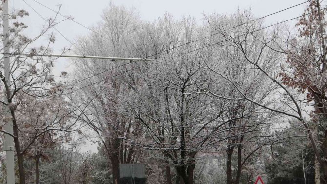 Malatya’da Kırağı Kartpostallık Görüntüler Oluşturdu