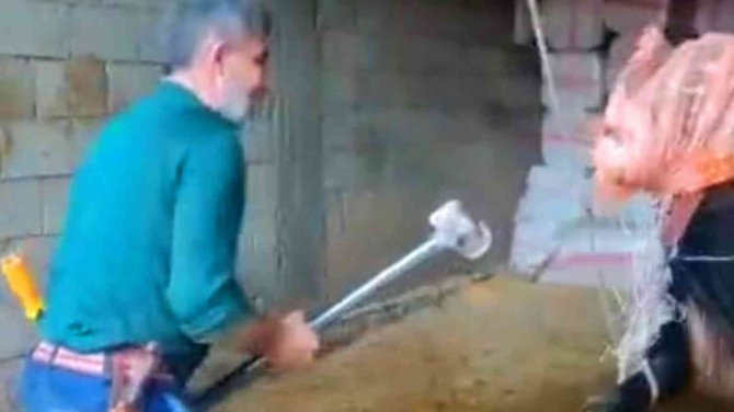 Mardin’de ‘Boğaya Şiddet’ Davası 16 Şubat’a Ertelendi