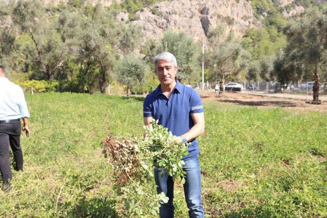 Marmaris’te Yeşil Alan Miktarı 609 Bin Metrekareye Çıktı