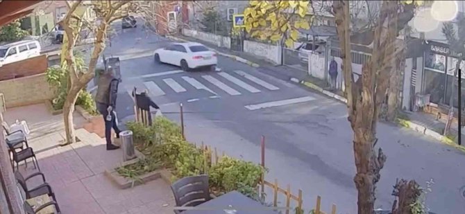 Pendik’te Vicdansız Sürücü Kediyi Ezip Kaçtı, O Anlar Kameraya Yansıdı