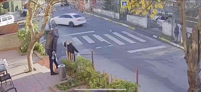 Pendik’te Vicdansız Sürücü Kediyi Ezip Kaçtı, O Anlar Kameraya Yansıdı