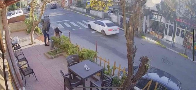 Pendik’te Vicdansız Sürücü Kediyi Ezip Kaçtı, O Anlar Kameraya Yansıdı