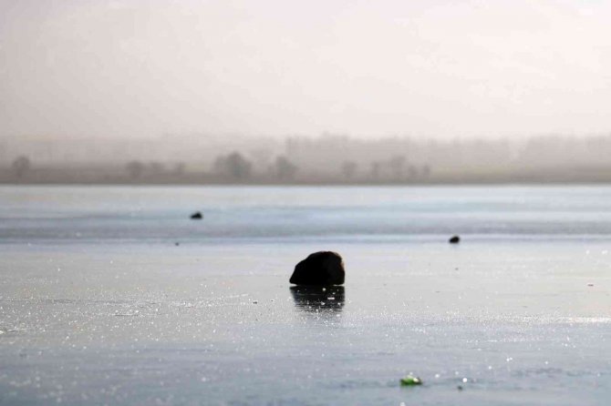 Soğuklar Etkisini Gösterdi, Gölet Yüzeyinde Buz Tabakası Oluştu