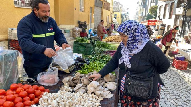 Kırmızı Etin Alternatifi İstiridye Mantarına İlgi Arttı