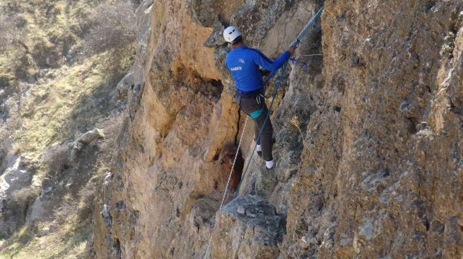 Öğretmen, Kayalıkta Mahsur Kalan Keçiyi Kurtardı