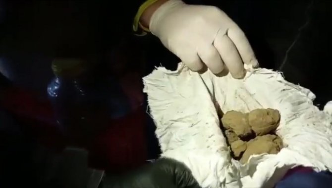 Bingöl’de 36 Şüpheliye Yönelik ‘Kökünü Kurutma Operasyonu’