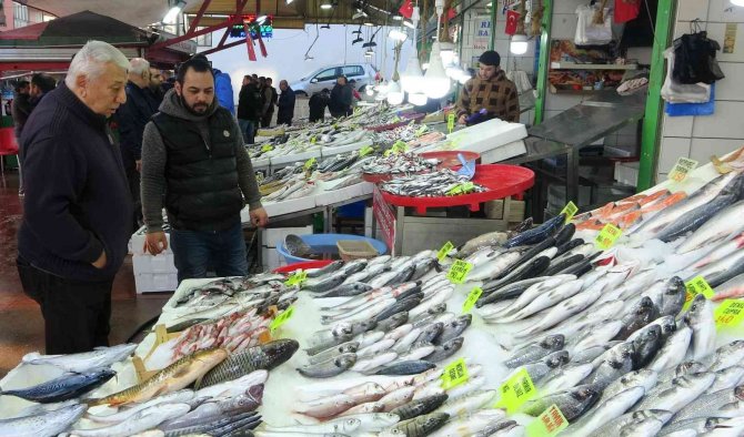 Balık Tezgahları Çinekop İle Şenlendi