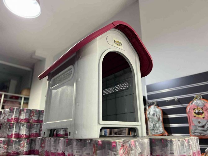 Evcil Hayvan Bakımı Da Pahalandı