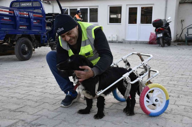 Fizik Tedavi Sonrası Yürüteçle Yürümeye Başlayan Karam, Sıcak Yuvasına Kavuştu