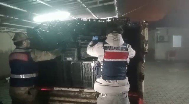 Kasaların Arasından Çıktılar: Hatay’da 23 Göçmen Ve Kaçakçı Yakalandı