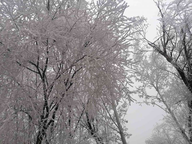 Elazığ’ın Bir İlçesinde Kırağı Ve Don Etkili Oldu