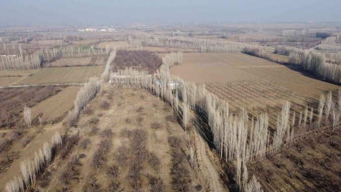 İ̇rem Bağları’nda Bahar Havası Yaşanıyor