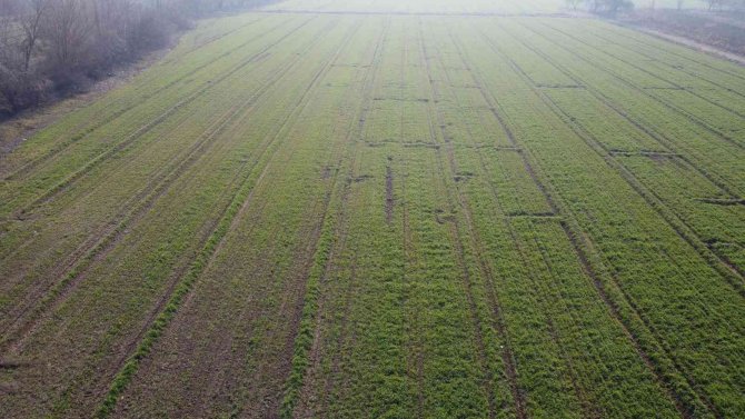 İ̇rem Bağları’nda Bahar Havası Yaşanıyor