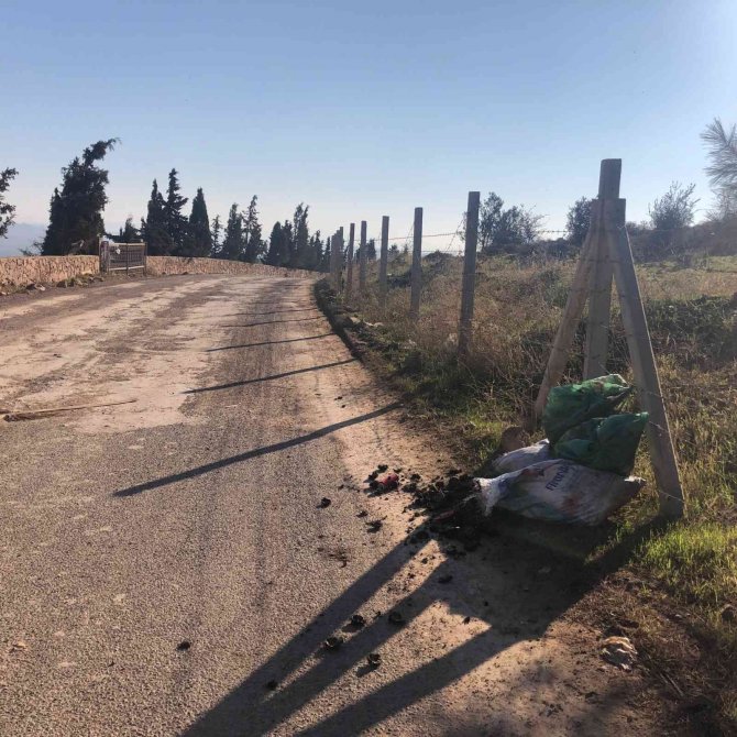 Ayvalık’ta ’Karadiken’ Kabuklarına İ̇lçe Hıfzıssıhha Kurulu Freni