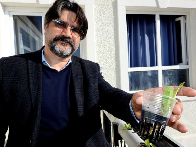 Çeşmeli Öğrenciler Topraksız Tarım Yapmaya Başladı