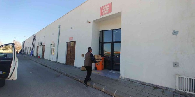 Yaralı Baykuş Tedavi Altına Alındı