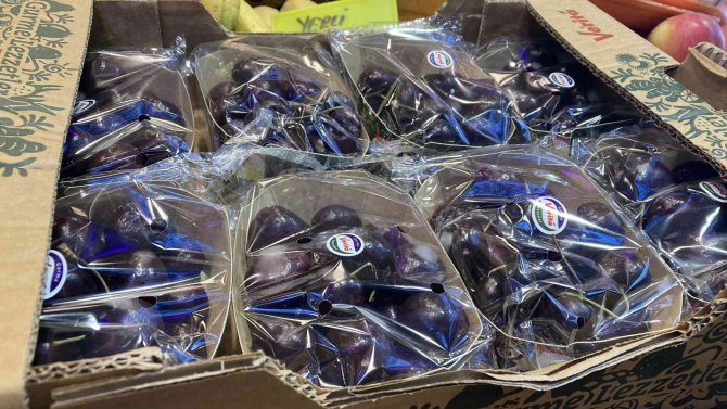 Kiraz, Gram Altını Solladı