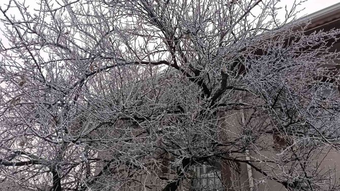 Kırşehir’i Sis Kapladı