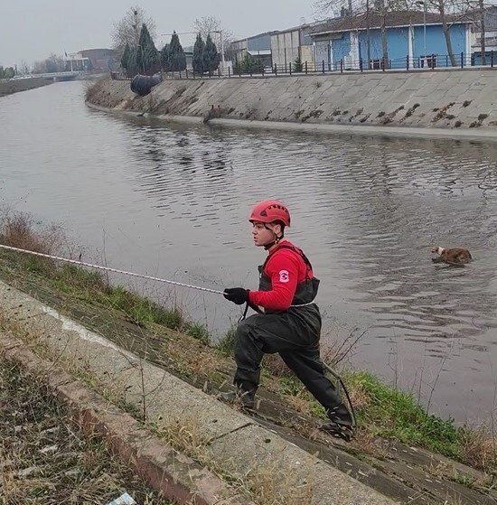 Dereye Düşen Köpeği İtfaiye Ekipleri Son Anda Kurtardı