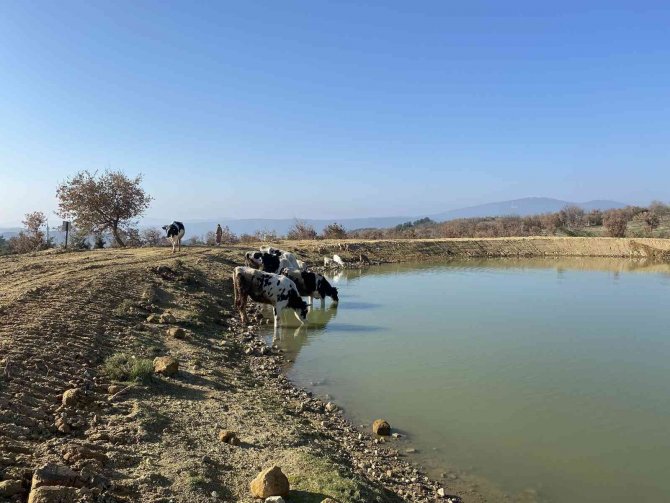Manisa’da 2022 Yılında 118 Gölet Yenilendi