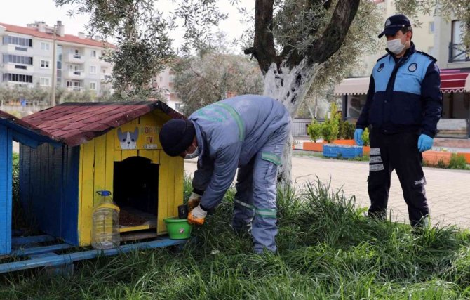 Menteşe Belediyesi Sokaktaki Can Dostları Unutmadı