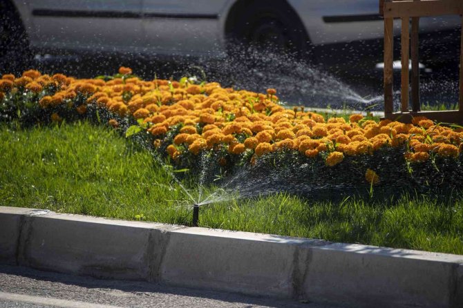 Ateş: "Çalışmalarımız Hızlı Ve Bilimsel Şekilde Devam Edecek"