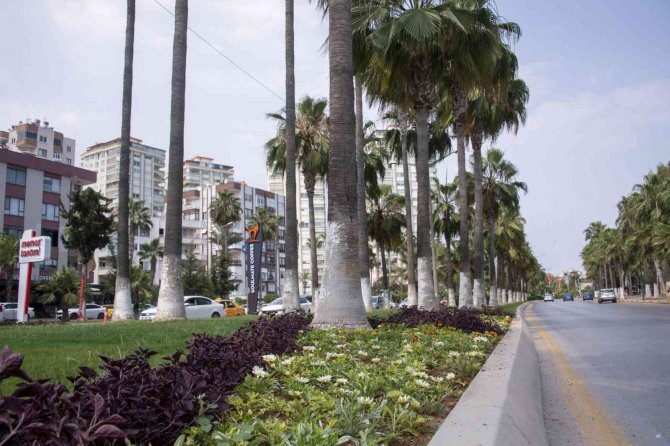 Ateş: "Çalışmalarımız Hızlı Ve Bilimsel Şekilde Devam Edecek"