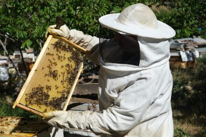 Erzincan’da Arıcılara Yüzde 50 Hibeli "Polen Tuzaklı Kovan" Dağıtılacak