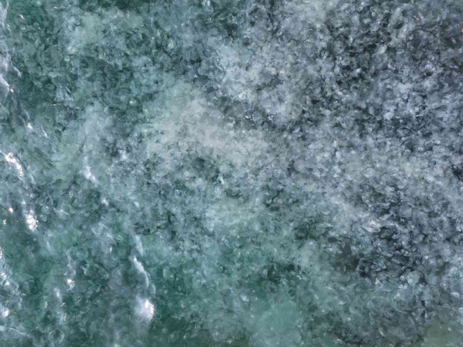 İ̇stanbul Boğazı’nda Deniz Anası İstilası