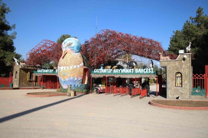 Gaziantep’te Ayılar Kış Uykusunu Unuttu