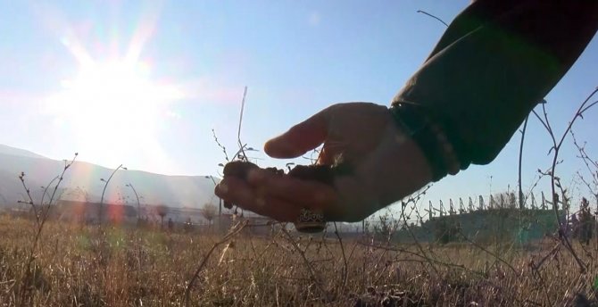 Muş’ta Kuraklık Endişesi