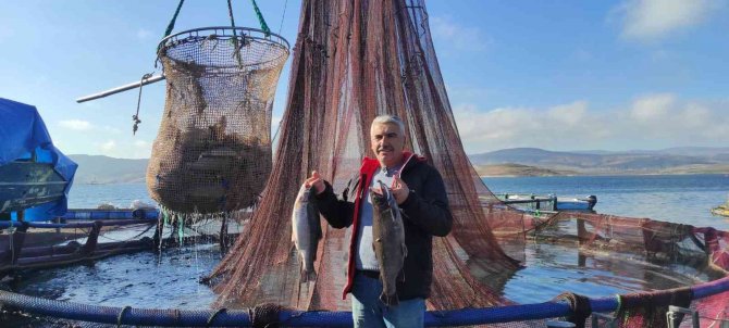 Türk Somonu Norveç Somonuna Rakip