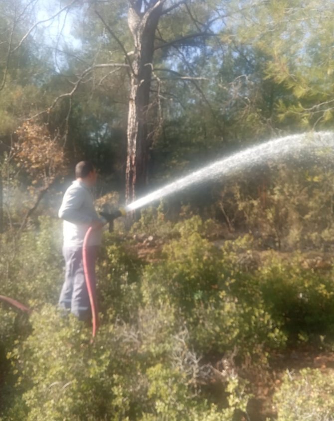Antalya’da Çıkan Orman Yangını Büyümeden Söndürüldü