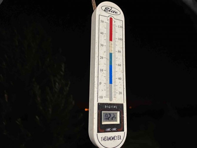 Antalya’da ’0’ Derecede Sazlı Sözlü Don Nöbeti
