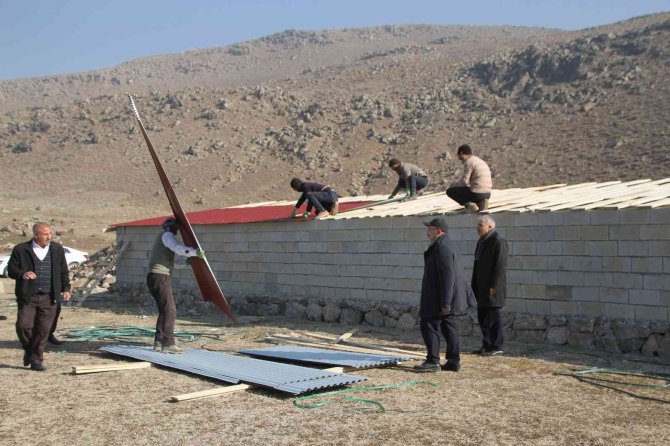 Bulanık’ta Sokak Hayvanları İçin Sıcak Yuva