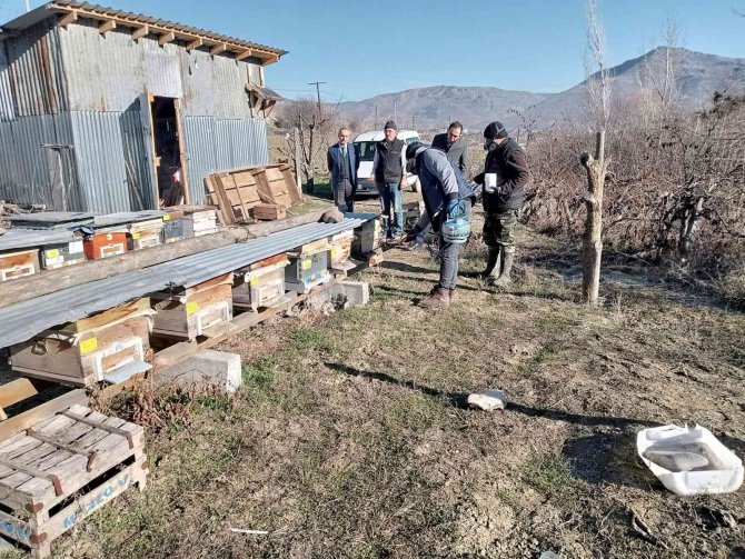 Seben’de Arı Kenesine Karşı İlaçlama Yapıldı